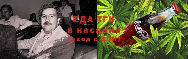 ПСИЛОЦИБИНОВЫЕ ГРИБЫ Абаза