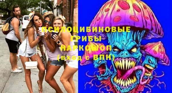 молекула духа Абинск